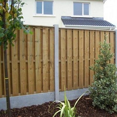 We are the best Chingford Tree services in your local area
