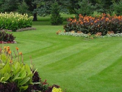 We are the best local Dummy Turfing and Fencing services in your local district