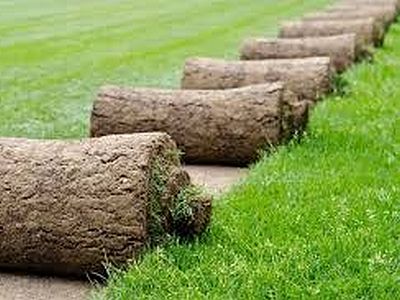We offer professional Dummy Turfing services in your local district DD6