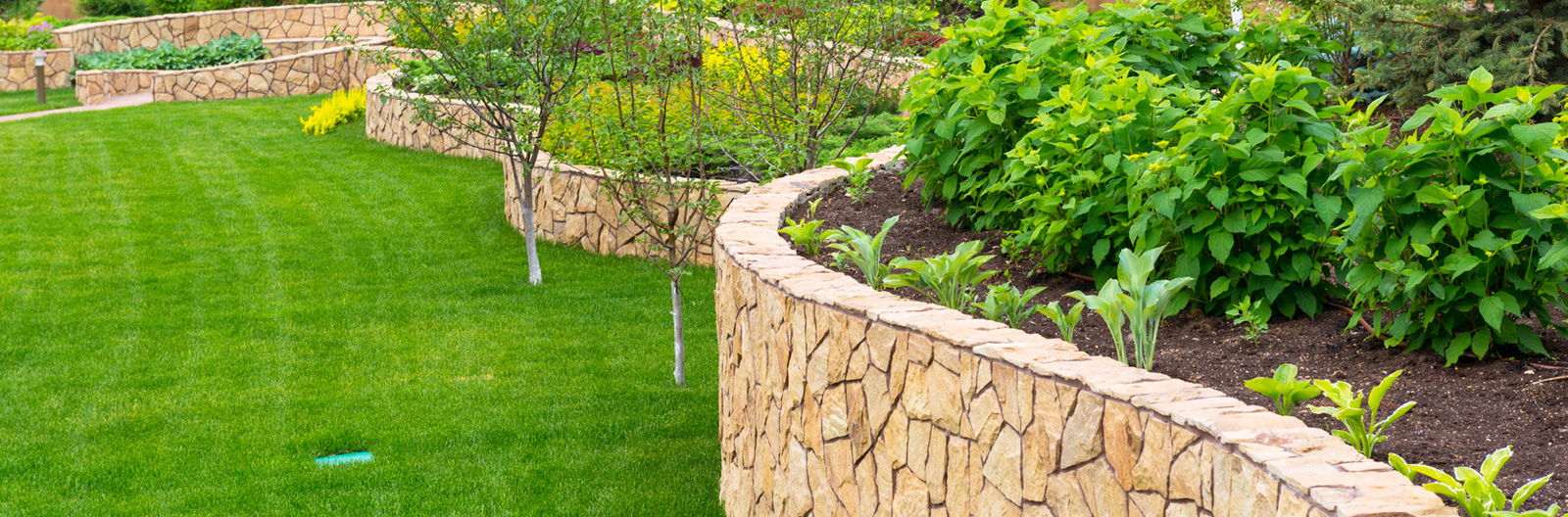 Look no further for a decent Chingford Fencing services in your vicinity