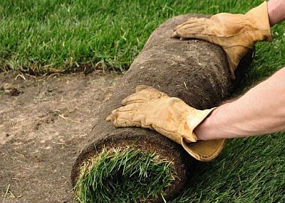 We aim to be the best Tree and Turfing and Fencing service in your local district and throughout North East London 