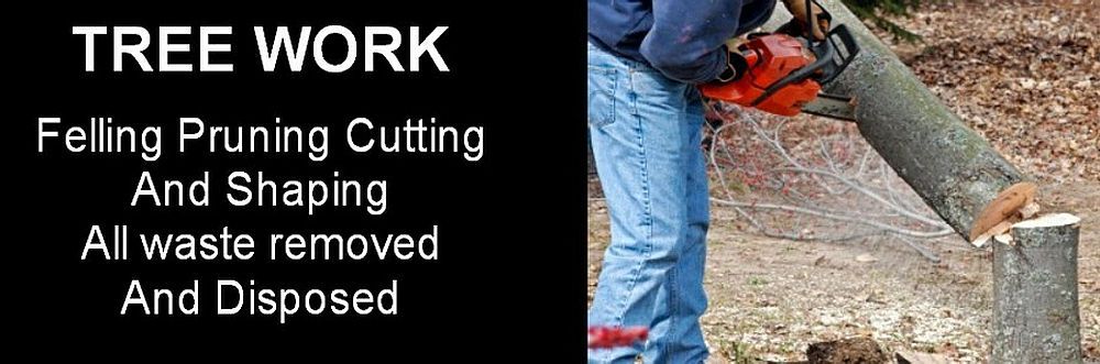 Local Essex Tree Services