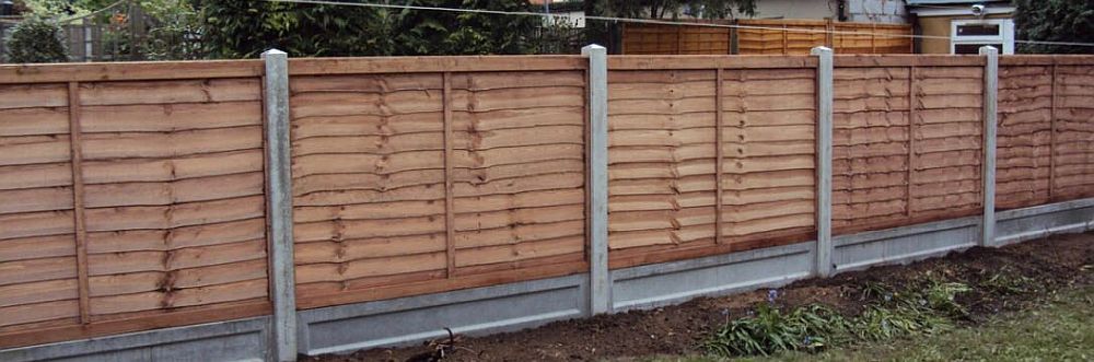 Local Chingford Tree Service professionals